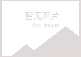 江达县字迹会计有限公司